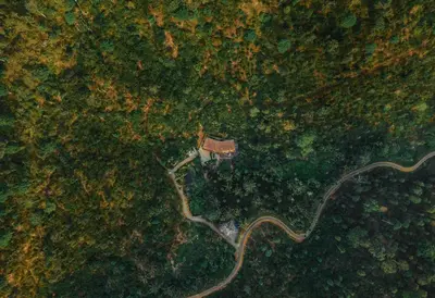 an overhead view of a road in a forest at Bhadra - The Estate Villa in Wayanad
