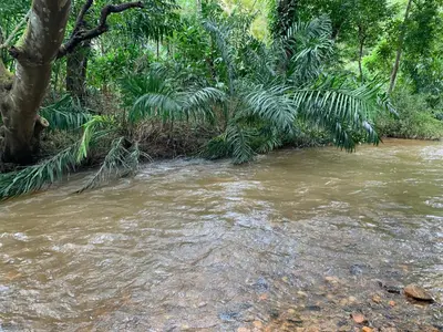 a stream of water with trees in the background at Cuppa Creek Homestay in Madikeri