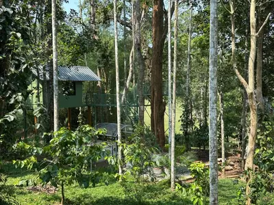 a tree house in the middle of a forest at Jungle Getaway Wayand in Pulpally