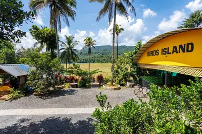 a yellow building with a sign that reads birds island at Birds Island Ayur-Yoga Retreat in Ernakulam