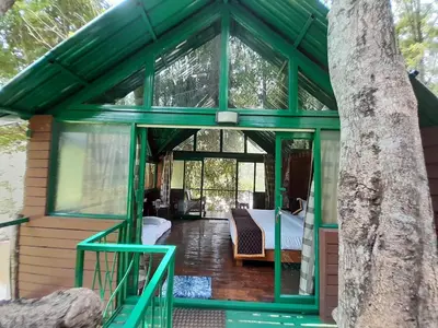 a green room with a bed and a tree at Gorukana Eco Wellness Centre in Honganūr