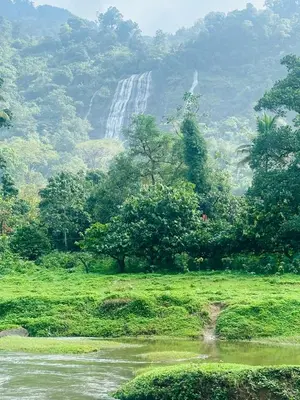 a waterfall in a field with a river and trees at Golden Hills cottage munnar Mankulam Munnar in Viripara