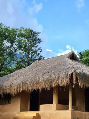 a hut with a thatched roof on top of it at Nelli Mud Village in Thirunelli