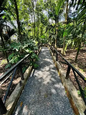 a path in the middle of a forest with trees at Wild Castle Wayanad in Pulpally