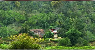 a house in the middle of a forest of trees at Coorg Naladi holidays in Kakkabe