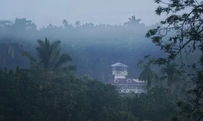 a house in the middle of a misty forest at PADIKKAL BUNGLOW in Vayittiri