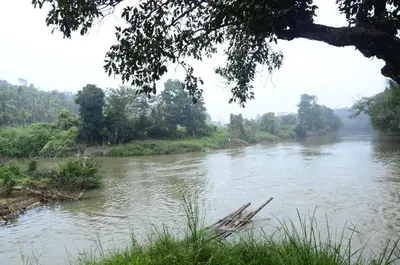 a view of a river with trees in the background at Greenways Tree House and Mud House in Chekadi