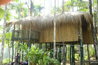 a straw hut with a man standing in front of it at Greenways Tree House and Mud House in Chekadi