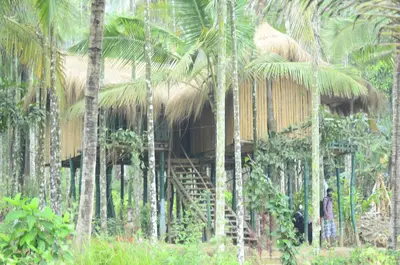a tree house in the middle of palm trees at Greenways Tree House and Mud House in Chekadi