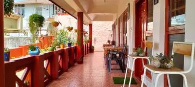 a corridor of a building with plants at Holidayincoorg - Brick lane in Madikeri