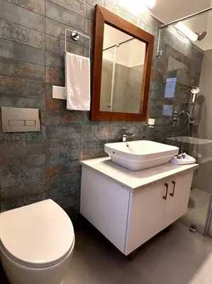 a bathroom with a sink and a toilet and a mirror at Shangrila Casa-Premium Homestay in Wellington Town