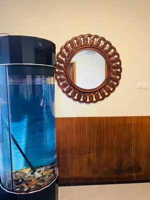 a mirror on a wall next to a fish tank at Yemcee Rivera in Tellicherry