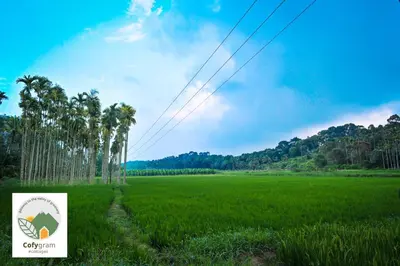 a field with palm trees and a sign in the foreground at Cofygram cottages in Wayanad