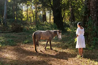a woman in a white dress standing next to a horse at Jungle Park Resort-Rain Forest Experience by GreenEscapes in Vythiri