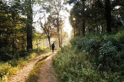 a man walking down a dirt road in a forest at Jungle Park Resort-Rain Forest Experience by GreenEscapes in Vythiri