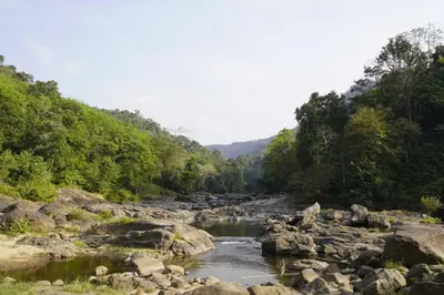 a river with rocks and trees in the background at Elephant Village Private Pool Villa in Munnar