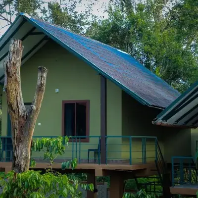 The Rain Tree resort