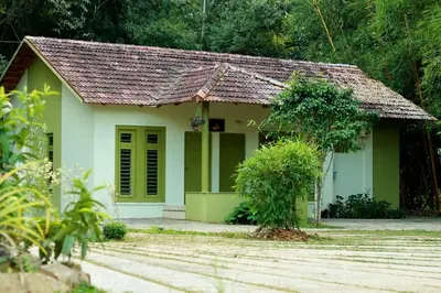 a small green and white house with a tree at Ayurnest Pool Resort Wayanad in Batheri