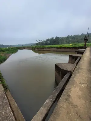 a canal of water with benches on the side at The Forest Temple in Kaniyāmbetta