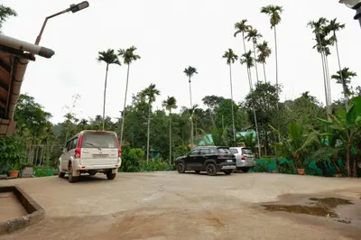 two cars parked in a parking lot with palm trees at Beehive staycations in Ambalavayal