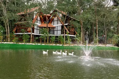 a group of ducks swimming in a pond in front of a house at Wayanad Vista Palm View Homes in Padinjarathara