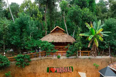 a hut with a straw roof in a forest at Wayanad Vista Palm View Homes in Padinjarathara