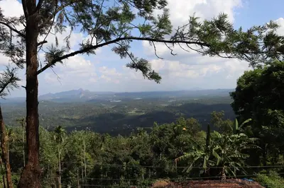 a view of a valley from a tree at Cicadas Nature Resort - A Frame cottages in Wayanad