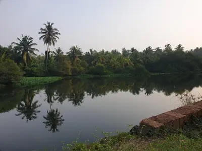 a body of water with palm trees in the background at Farmville Riverside in Kakkayam