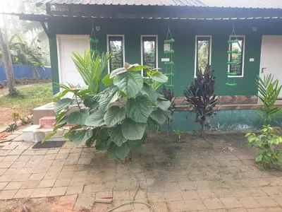 a green house with a large plant in front of it at Farmville Riverside in Kakkayam