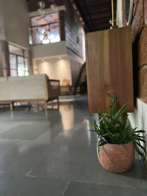 a potted plant sitting on the floor of a room at RiverMist Resort in Nilambūr