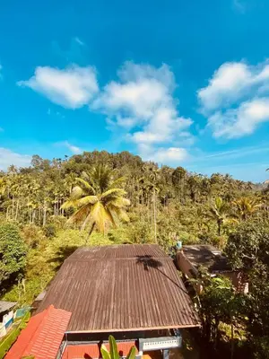 a roof of a house with a palm tree in the background at Homie Hub in Meppādi
