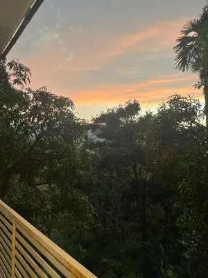 a view of the trees from a deck at sunset at VARIYATH HOMESTAY THIRUNELLi in Thirunelli