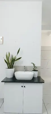 a bathroom with a sink and two plants on a counter at Little home apartment in Kozhikode