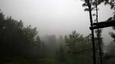 a foggy forest with trees on a hill in the distance at May Fair Vista Luxury Villa - Huge Lawn - Scenic Views - Free Parking in Kotagiri