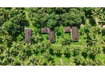 an overhead view of a park with palm trees and bushes at Down to Earth Farmstay by LAKSEM in Anaimalai