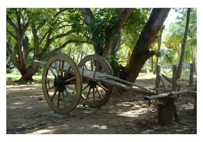 a wooden cart sitting next to a tree at Down to Earth Farmstay by LAKSEM in Anaimalai