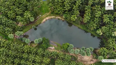 an overhead view of a pond in a forest at Down to Earth Farmstay by LAKSEM in Anaimalai