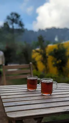 two cups of tea sitting on top of a wooden table at Yellow House Kotagiri in Kotagiri