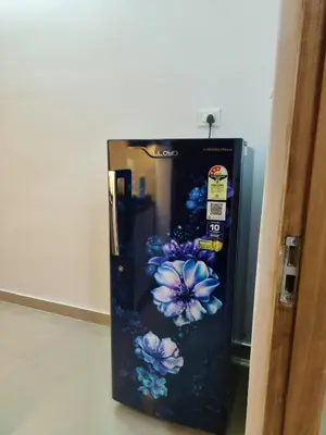 a refrigerator with blue flowers painted on it at Posh 1 BHK Apt with Temple View in Guruvayur B1001 in Guruvāyūr