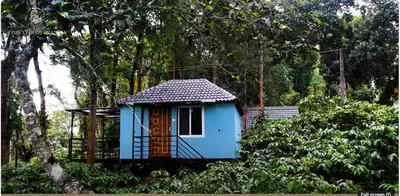 a small blue house in the middle of trees at The Cozy Clouds Hill Saty in Madikeri