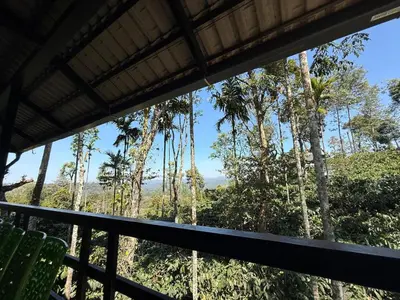 a view from the balcony of a resort with palm trees at The Cozy Clouds Hill Saty in Madikeri