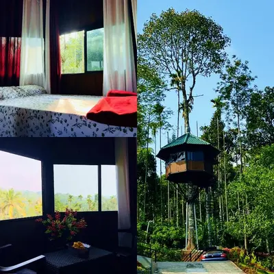 a bedroom with a bird house and a tree at Lilliput Haven Homestay in Sultan Bathery