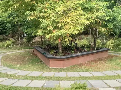 a tree in a planter in a garden at Green Haven Homestay in Kodungallūr