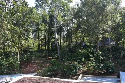 a view of a garden with trees in the background at Forest Brew Resort Wayanad in Chekadi