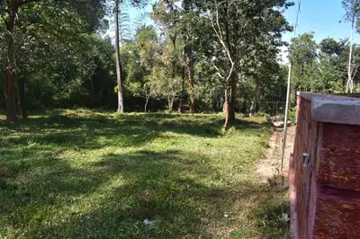 a gate in a field with trees in the background at Forest Brew Resort Wayanad in Chekadi