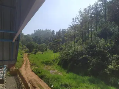 a train traveling down a dirt road through a forest at haven bridge Homestay in Meenangadi