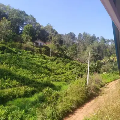 haven bridge Homestay