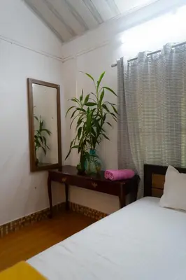 a bedroom with a mirror and a plant on a table at Little Bricks Reverside Private Pool Villa by GreenEscapes in Vythiri