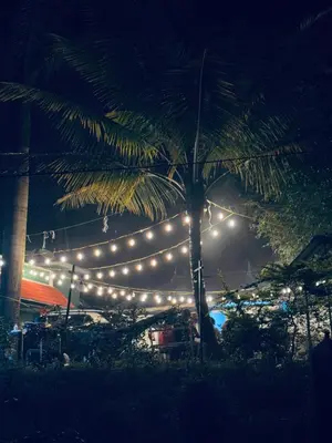 a string of lights hanging from a palm tree at night at Greenwoods Munnar Unmarried Allowed in Munnar