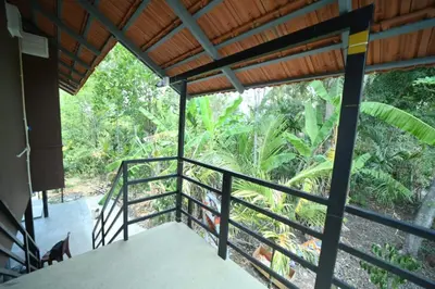 a balcony with a view of the jungle at Kashi's stay in Kushālnagar